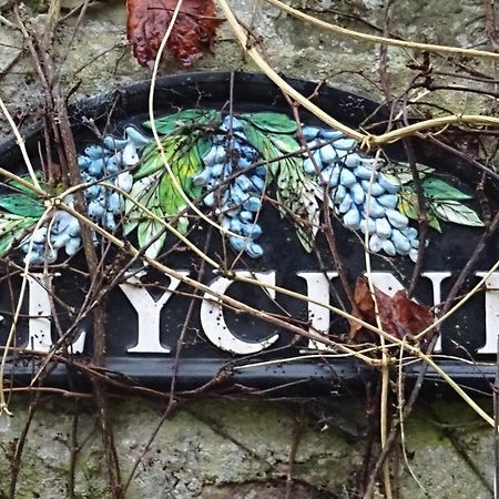 Le Glycine A Manoir Sainte Cecile Lägenhet Juvigny-Val-d'Andaine Exteriör bild
