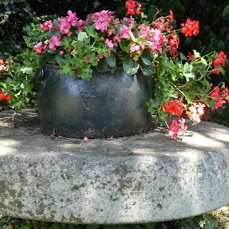 Le Glycine A Manoir Sainte Cecile Lägenhet Juvigny-Val-d'Andaine Exteriör bild