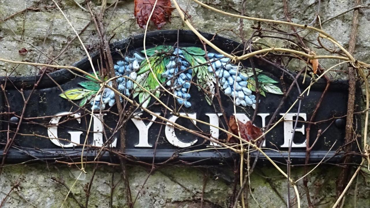 Le Glycine A Manoir Sainte Cecile Lägenhet Juvigny-Val-d'Andaine Exteriör bild