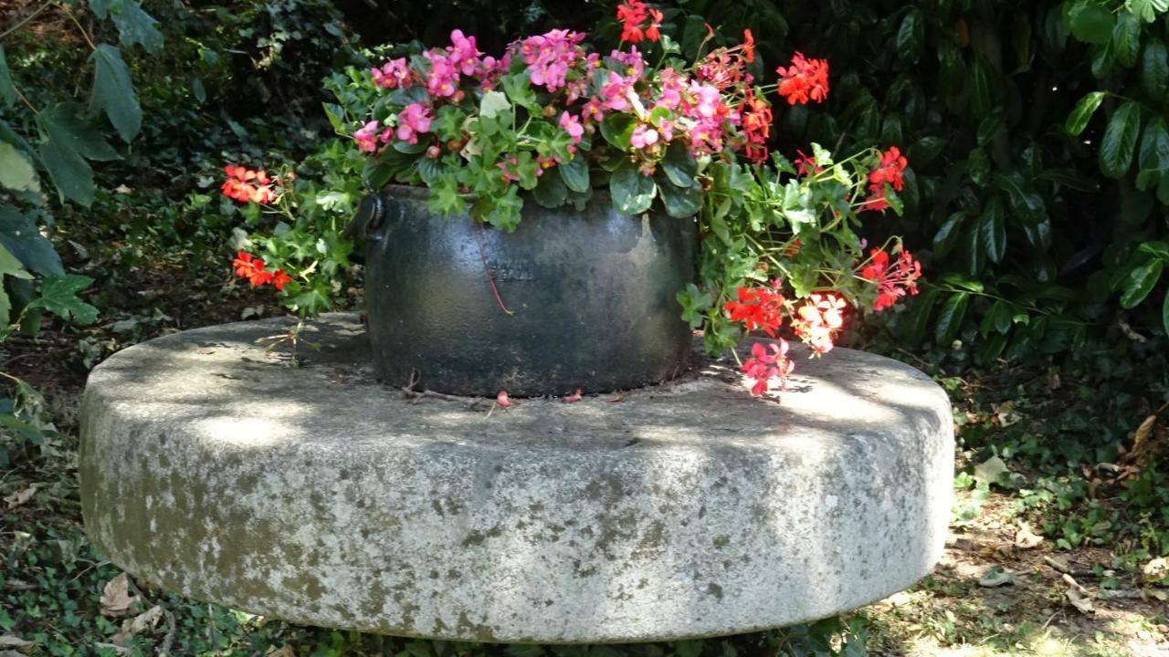 Le Glycine A Manoir Sainte Cecile Lägenhet Juvigny-Val-d'Andaine Exteriör bild